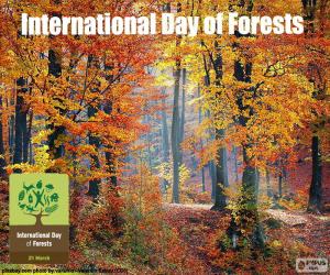 пазл Международный день лесов